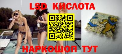 спайс Гай