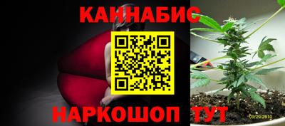 молекула духа Гагарин