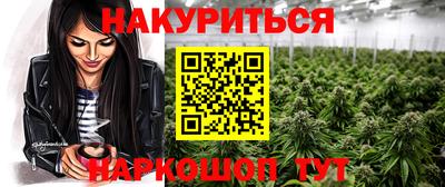 спайс Гай