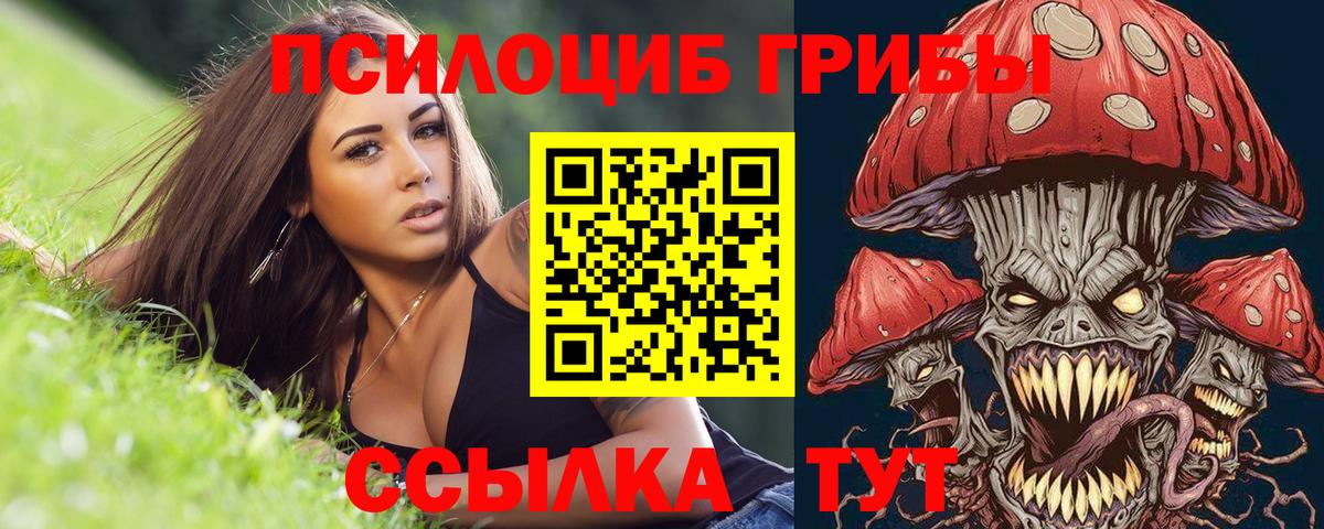 Комсомольск-на-Амуре  Псилоцибиновые грибы Magic Shrooms  Вход с VPN  Галлюциногенные грибы мицелий 
